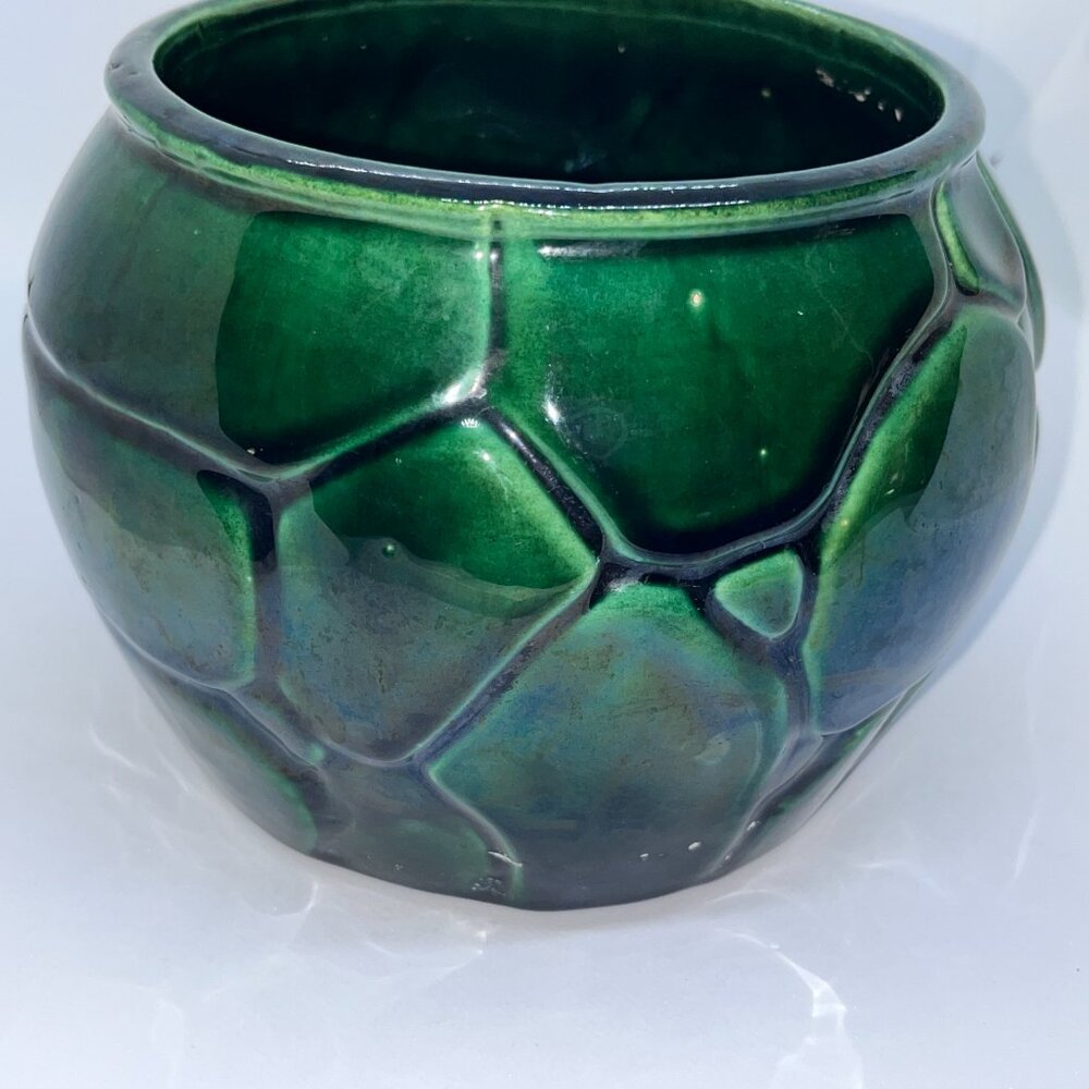 Turtle Shell Plant Pottery